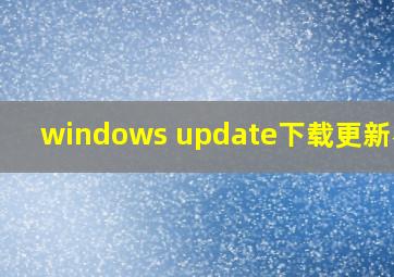 windows update下载更新不动